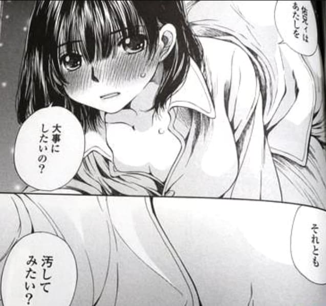 蒼の不倫のエロシーン13