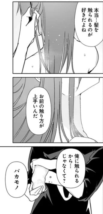 姫騎士様のヒモのエロシーン12