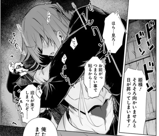 姫騎士様のヒモのエロシーン4