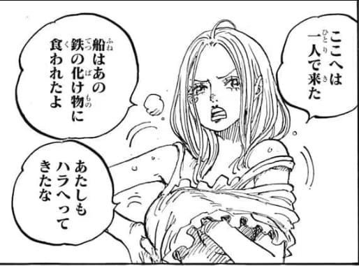 ワンピースのエロシーン8